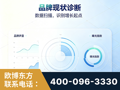 永安-品牌现状诊断